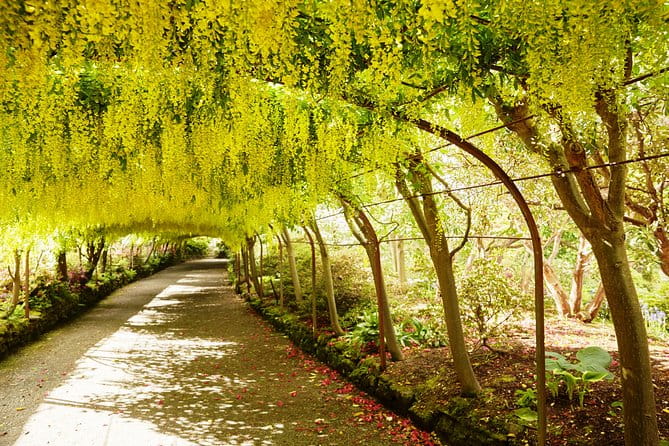 Private Snowdonia, Bodnant Gardens & Castles Tour - Exploring the Past at the Slate Museum
