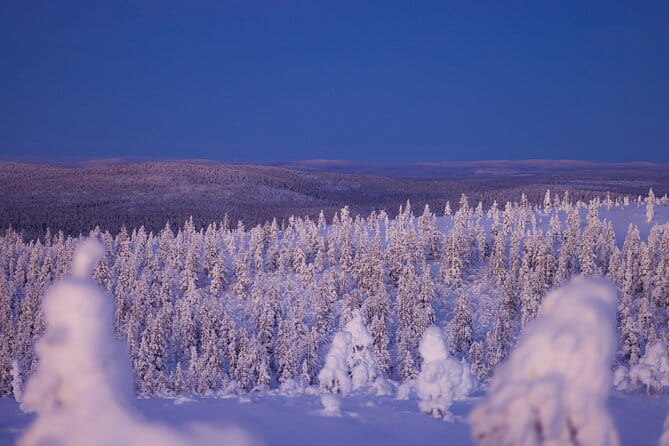 Private Snowshoe or Ski Adventure in Lapland - Price and Logistics: Is It Worth the Cost?