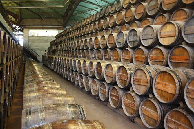 Private Special Tour Around Lisbon and Wine Tasting - The Best of Lisbon’s Icons: Cristo Rei and Beyond