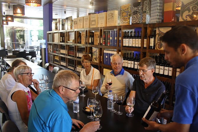 Private Special Tour Around Lisbon and Wine Tasting - Practical Details and Logistics