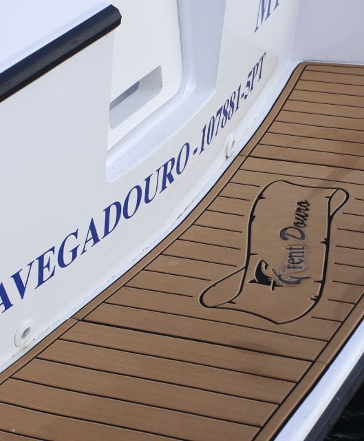 Private Speedboat Tour on the Douro River - Boat Specifications