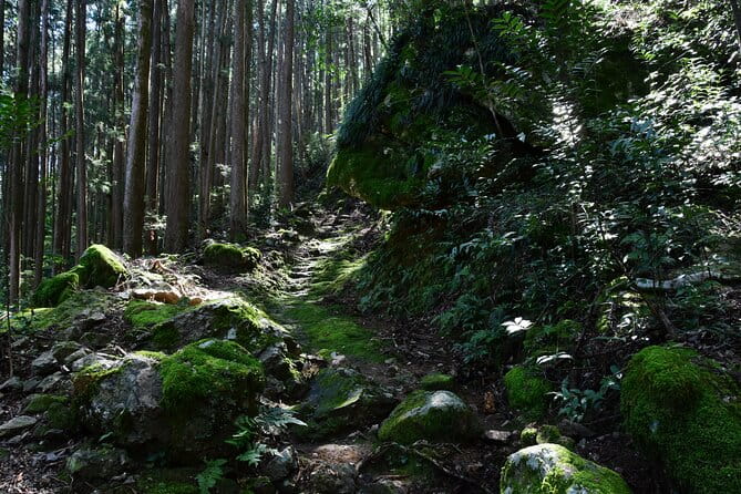 Private Spiritual Hike in Hidakamura With Mountain Monk - Pricing and Booking Information