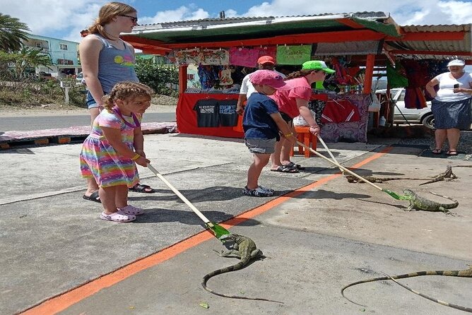 Private St Maarten Island Sightseeing Tour - Private Guide and Customization