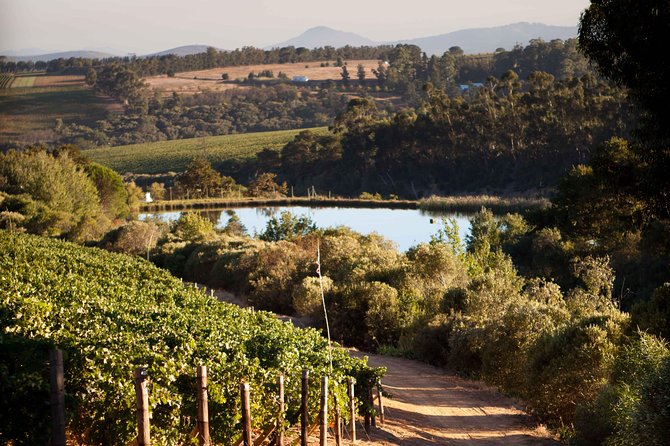 Private Stellenbosch, Franschhoek and Paarl Wine Tour - Cheese and Wine Pairing