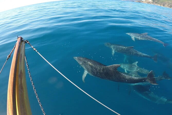 Private Sunset Tour in a Vintage Gozzo on Elba Island - Introducing the Private Sunset Tour in a Vintage Gozzo on Elba Island