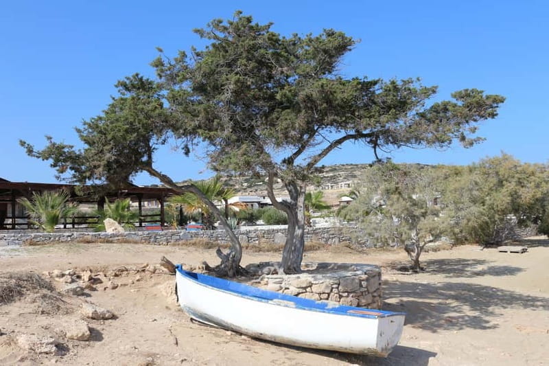 Private: Taste of Mykonos: Panoramic Views & Local Delights - Final Thoughts