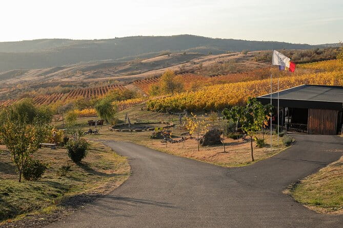 Private Tasting Expedition Along Romanias Most Famous Wine Route - Key points / Takeaways