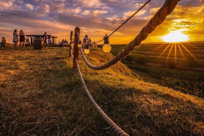 Private Tasting Expedition Along Romanias Most Famous Wine Route - Exploring the Heart of Romanian Wine: The Dealu Mare Route