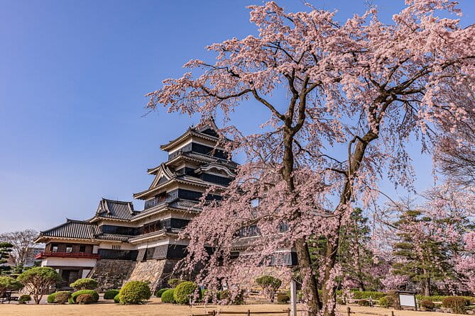 Private Tea Ceremony in a Traditional Guest House - Traditional Japanese Guest House