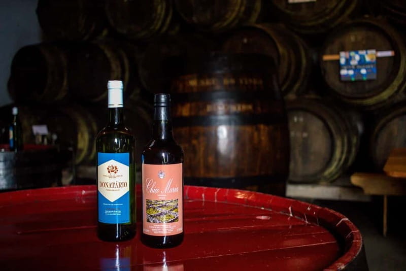 Private Terceira Island Caves: Lava Route - entrances & wine - Who Should Consider This Tour?