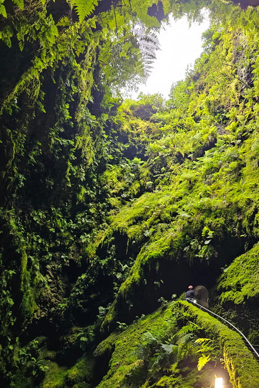 Private Terceira Island Caves: Lava Route - entrances & wine - FAQ