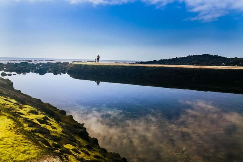 Private Terceira Island Half-Day: Enchanted Bays + tasting - A Few Final Thoughts