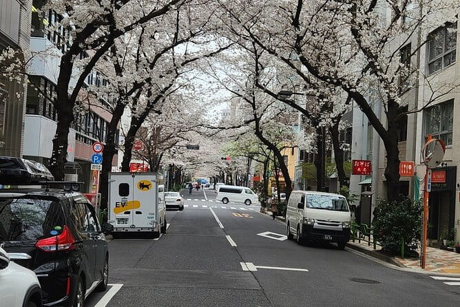 Private Tokyo City Tour With English Speaking Guide - Traveler Reviews and Ratings