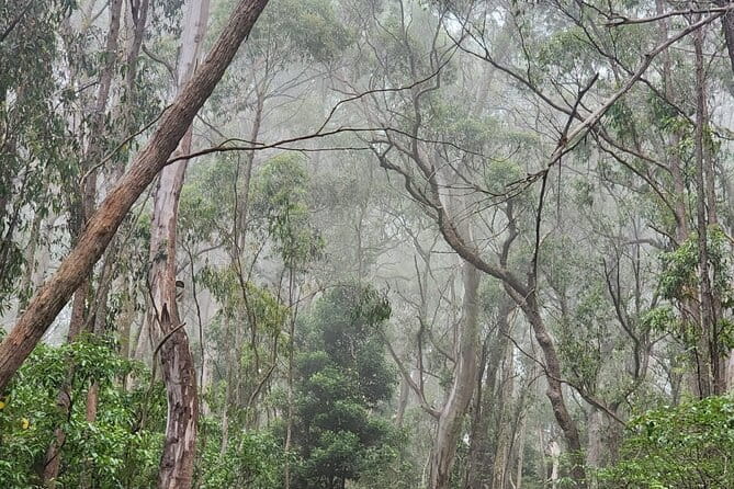 Private Tokyo City Tour With English Speaking Guide - Booking Information