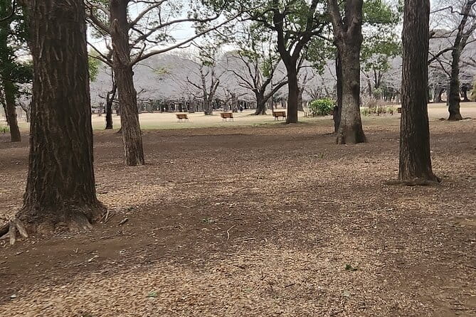 Private Tokyo City Tour With English Speaking Guide - Exploring Tokyos Top Attractions