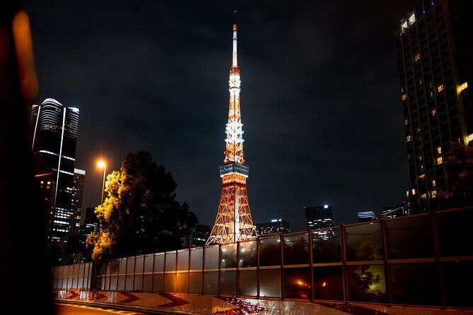 Private Tokyo Culture Tour by Car - Tips for an Enjoyable Tour Experience