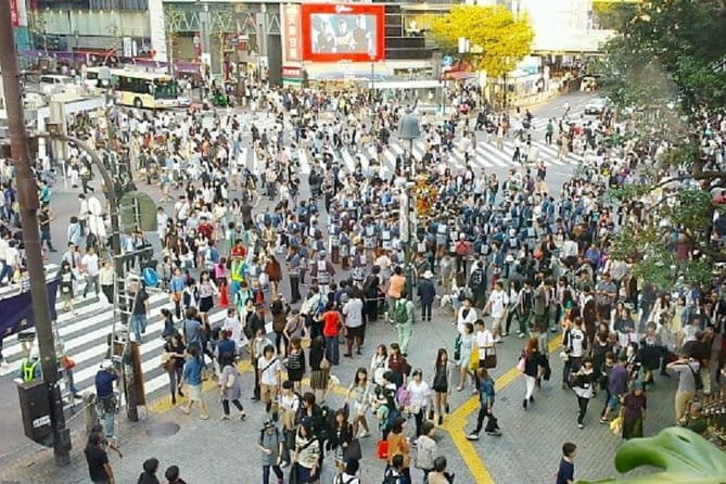Private Tokyo Custom Walking Tour With a Water Bus Ride - Meeting Points and Accessibility