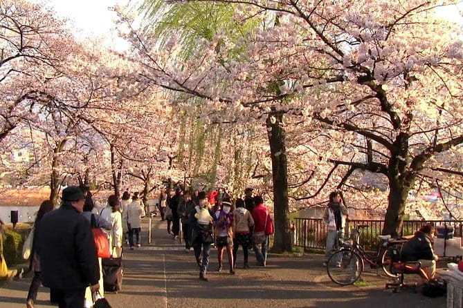 [Private] Tokyo Personalized Tour (Guide Only) - Customization and Flexibility