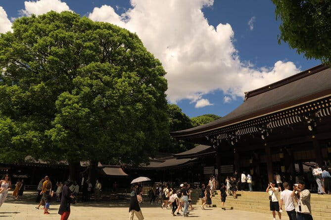 Private Tokyo Tour by Subway W/Licensed English-Speaking Guide - Customer Reviews and Feedback