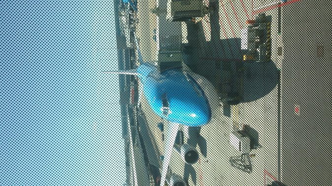 Private Tokyo Tour Guide Japanese Disco, Clubs. Dancing Any Where Translate. - Frequently Asked Questions