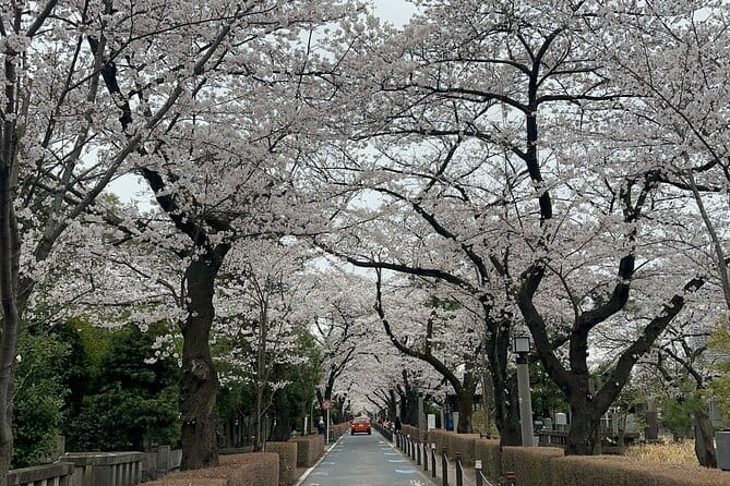 Private Tokyo Tour With Japanese Local Guide - Meeting and Pickup