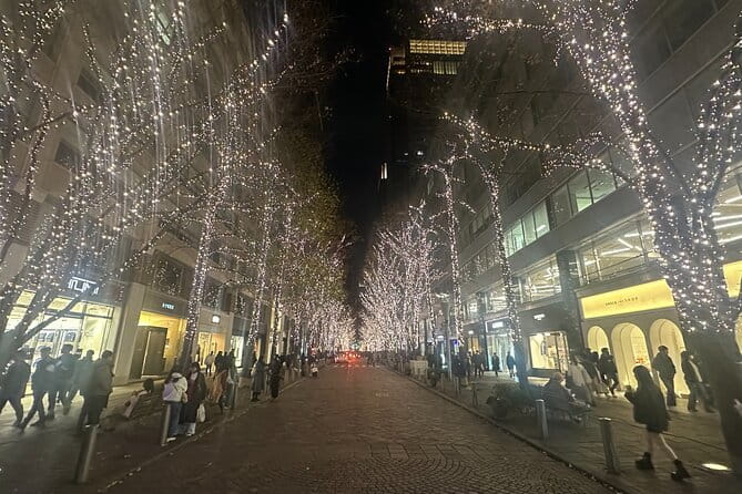 Private Tokyo Tour With Japanese Local Guide - Highlights of the Private Tour