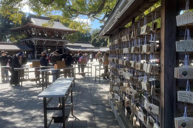 Private Tokyo Tour With Local Guide - Guide Performance and Interaction