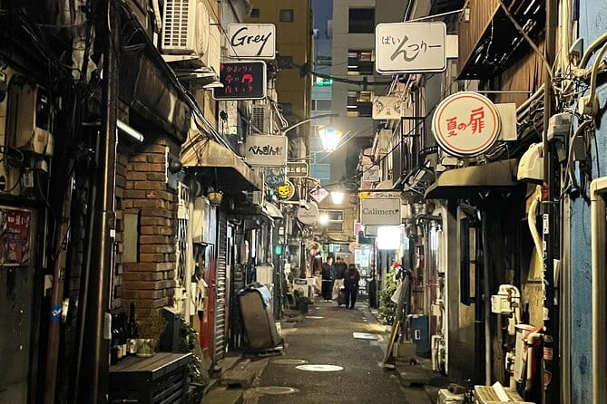 Private Tokyo Tour With Local Guide - Tailoring the Tour to Your Interests