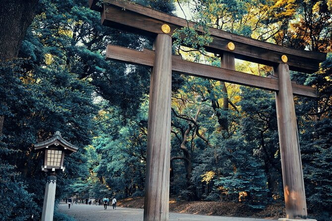 Private Tokyo Walk With Young Local /Photo Gift /Only Group Fee - Pricing and Group Size