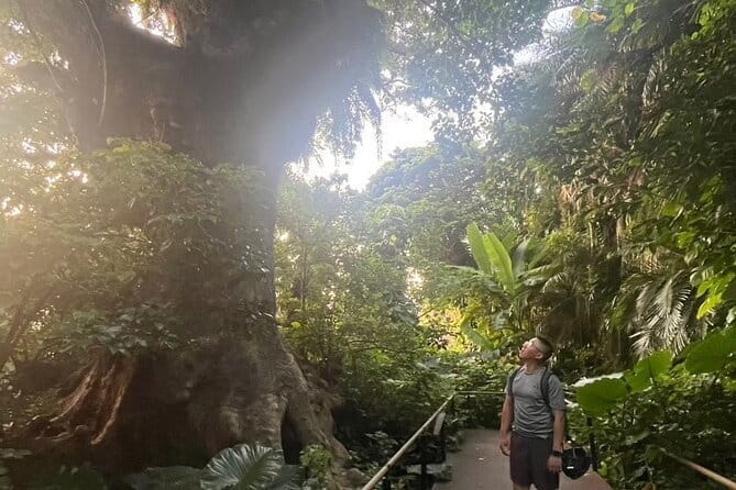 Private Tour: Afternoon Cycling With Spectacular Views - The Sum Up