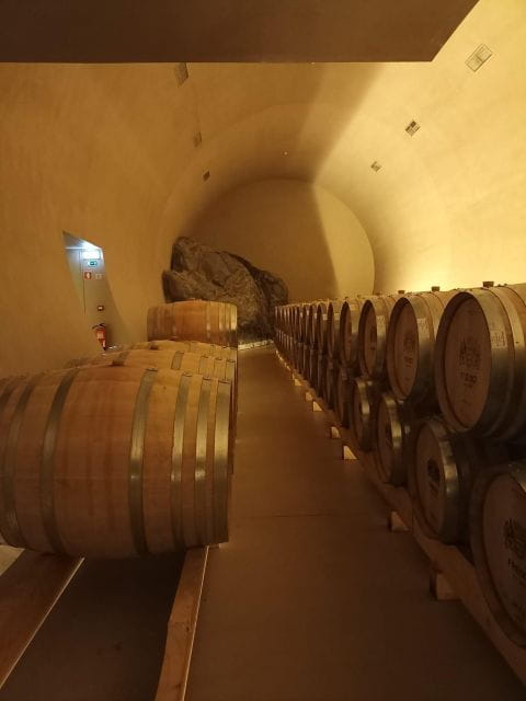 Private Tour Alentejo: Évora, WineTasting and Monsaraz - Key points / Takeaways