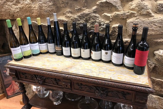 Private Tour Alvarinho (Melgaço and Monção) includes 3 wine tastings - Final Thoughts: Who Should Book This Tour?