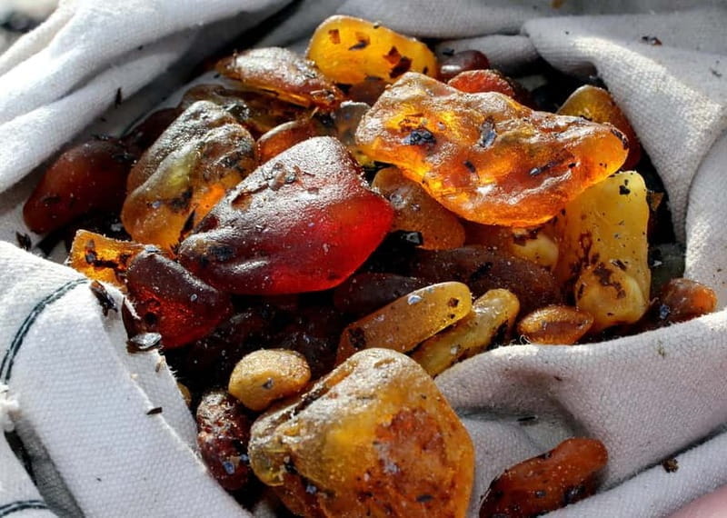 Private Tour: Amber Catching in Curonian Spit from Klaipeda - Key Points / Takeaways