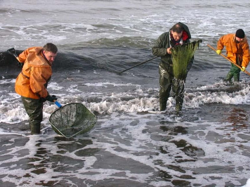 Private Tour: Amber Catching in Curonian Spit from Klaipeda - Nida’s Amber World: The Mizgiris Amber Museum