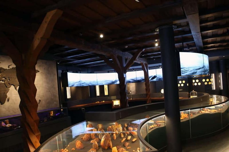 Private Tour: Amber Catching in Curonian Spit from Klaipeda - Who Will Love This Tour?