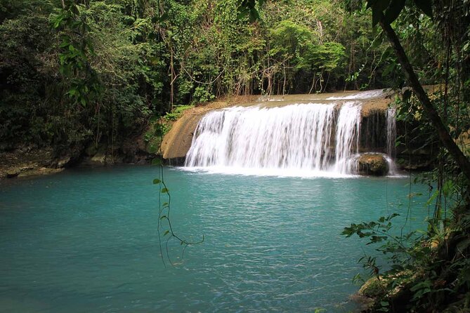 Private Tour Appleton Estate, YS Falls From Montego Bay - Pickup and Drop-off