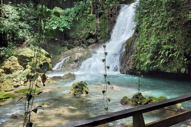 Private Tour Appleton Estate, YS Falls From Montego Bay - Exploring YS Falls