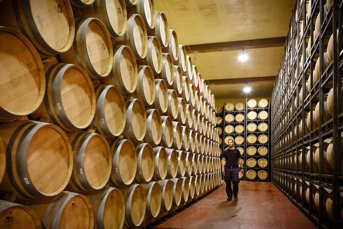 Private tour Bilbao to La Rioja A day of Winery Tours and Tasting - Key Points