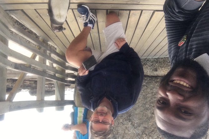 Private Tour: Boulders Beach Penguin Colony and Cape of Good Hope - Boulders Beach Penguin Encounter