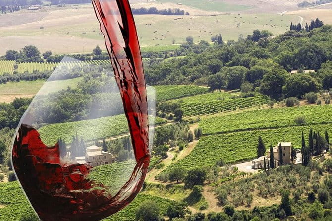 Private tour Brunello di Montalcino and Nobile di Montepulciano wine experience in Tuscany - A Full Breakdown of the Experience