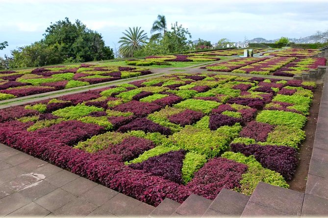 Private Tour Cable Car Toboggan Tropical Garden and Skywalk - Tour Suitability and Policies