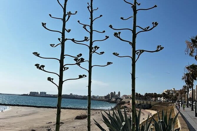 Private tour Cadiz: the city of light - Key Points / Takeaways