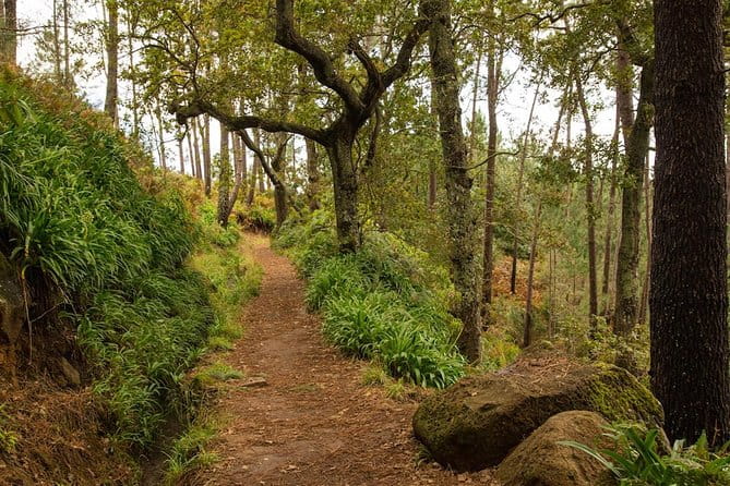 Private Tour: Combo Expedition (Jeep Tour & Levada Walk) - Price and Logistics: Is It Worth It?