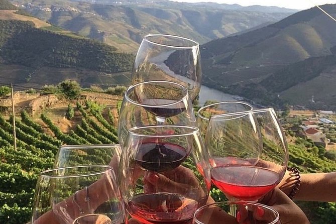 Private Tour - Douro River Ride