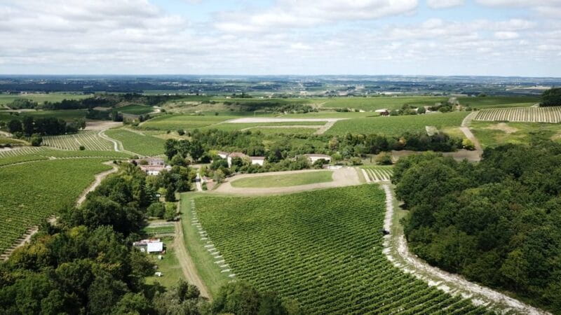 Private tour Day in the heart of the Cognac vineyards - Why the Scenic Drive and Photo Stops Matter