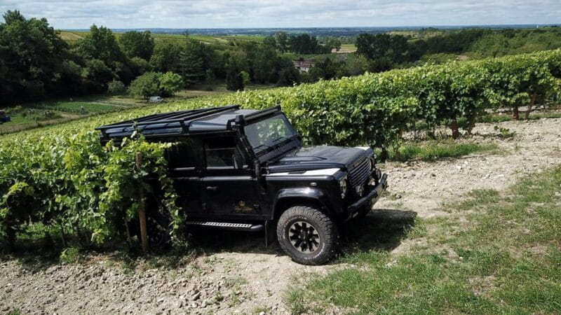 Private tour Day in the heart of the Cognac vineyards - Who Will Love This Tour?