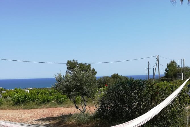 Private Tour: Discover the Secret World of Olives in Afantou - A Deep Dive Into the Olive Experience