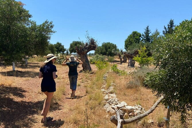 Private Tour: Discover the Secret World of Olives in Afantou - Final Thoughts