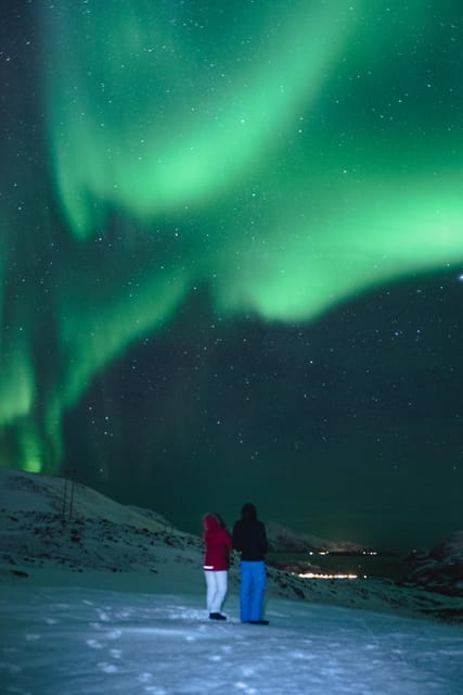 Private Tour - Experience the Magic of the Northern Lights - Introduction: A Night Under the Arctic Sky