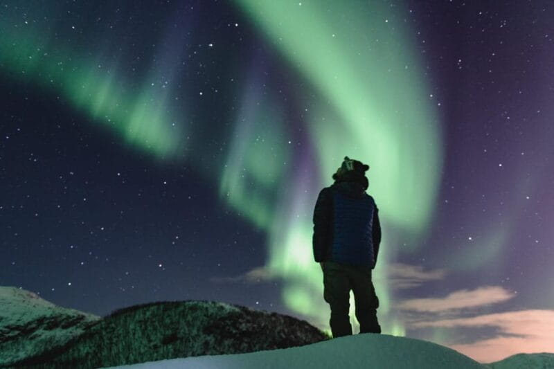 Private Tour - Experience the Magic of the Northern Lights - Key points / Takeaways